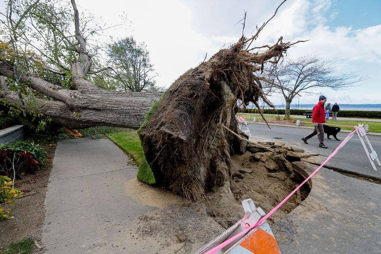 Downed Trees And Possible Power Outages With The Next Weather System - WRWH