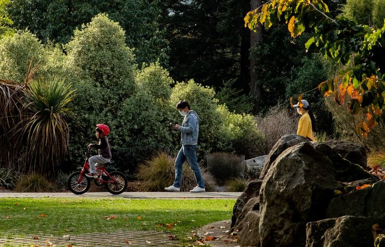 Many families enjoyed the cool fall weather and foliage at the Washington Park Arboretum on Sunday, Oct. 23, 2022.