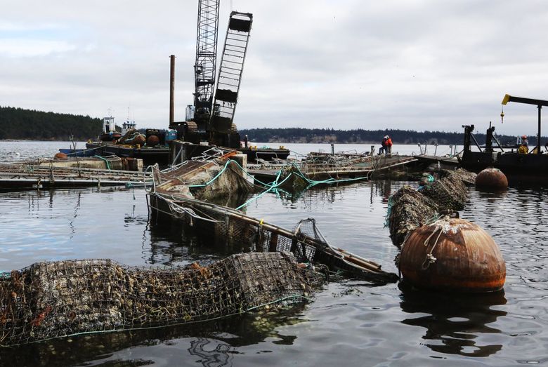 Tillamook Tidewater Still Boasting Salmon Action - Pautzke Bait Co