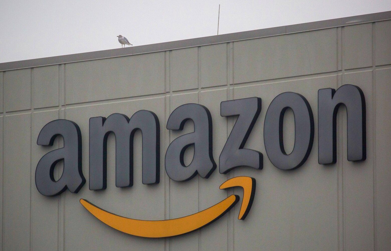 For Seattle, Layoffs At Amazon, Meta And Across Tech A Mixed Blessing ...