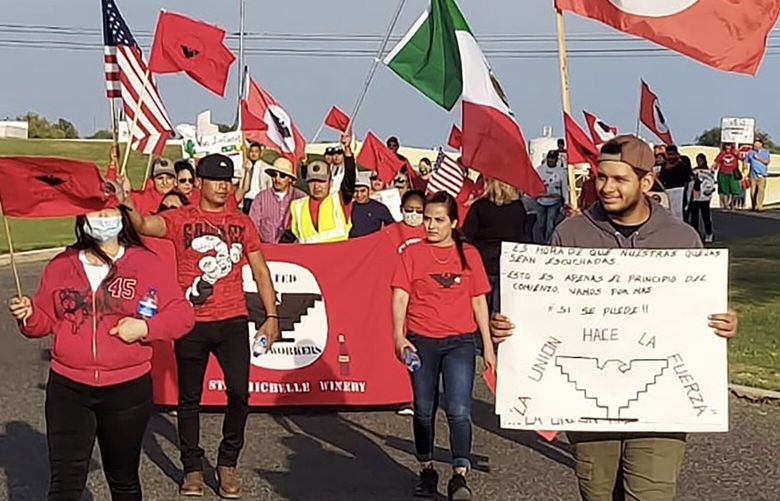 Ostrom Mushroom Farms workers march in Sunnyside on September 17th to for company to demand recognize union efforts and negotiate a contract.