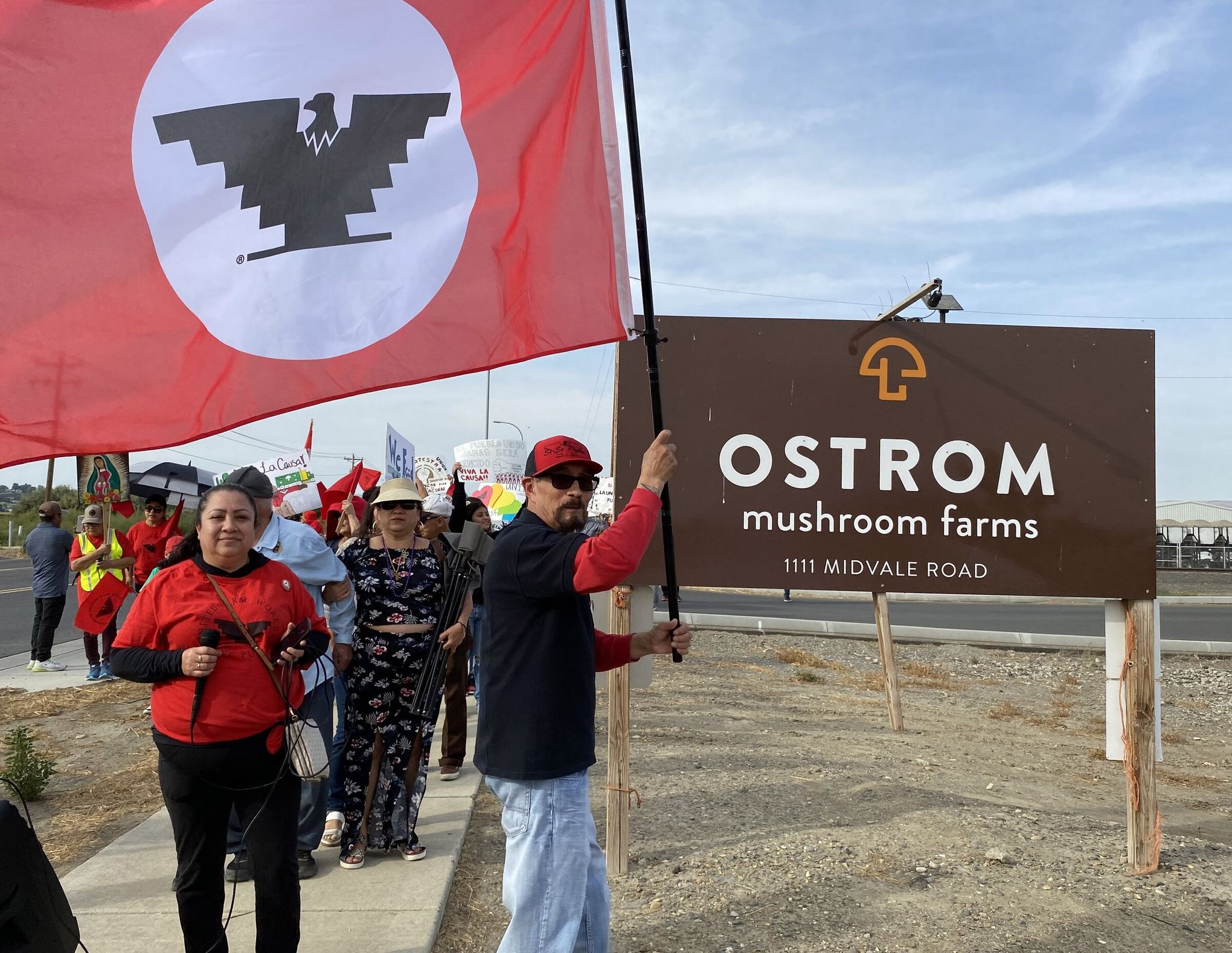 Ostrom Mushroom workers allege continued mistreatment amid AG lawsuit | The  Seattle Times