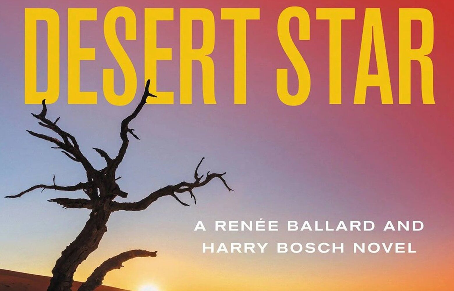 Bosch pursues a dark target in Michael Connelly s Desert Star