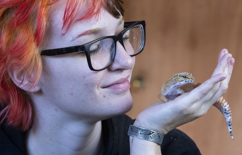 McKenna Riddle,  a 19-year-old Kent resident, plays with her gecko Astro in her home Thursday, November 17, 2022.  Riddle, who is recovering from anxiety and PTSD from an event that occurred in early 2020, received therapy from Kent Youth and Family services.
She has an emotional support cat, six mice, a gecko, and two frogs. 222204