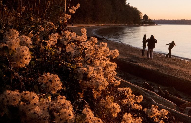 Pedestrians walk and skip rocks during sunset at Lincoln Park in West Seattle on Thursday, Nov. 17, 2022. According to National Weather Service Seattle, Friday is the eleventh day without rain in Seattle and the sunny and dry weather will continue through Saturday.
LO 222226