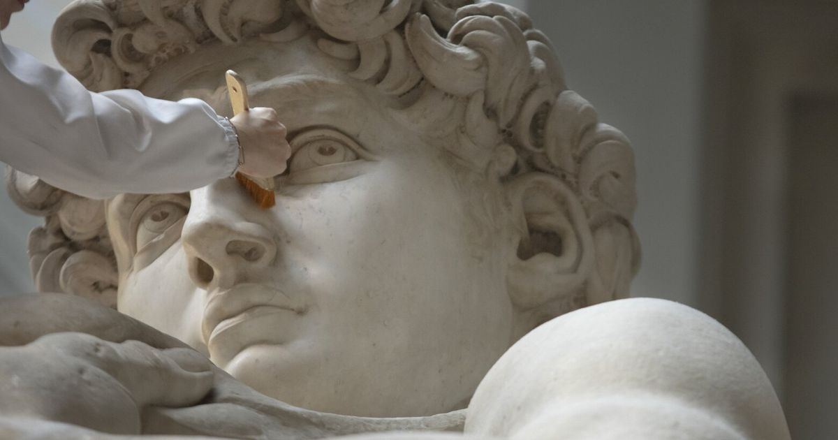 When Visiting Michelangelo’s David, She Brings A Duster 