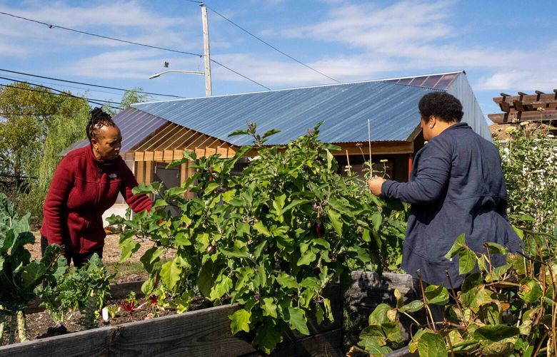 Laquetta Little, left, and Alexis Smallwood-Foote, organizers of a community garden in Edgemere, a neighborhood on the Rockaway peninsula in Queens, Oct. 18, 2022. A new program to reuse architectural mock-ups in community gardens is gaining interest as a way to keep them out of the landfill. (Desiree Rios/The New York Times)