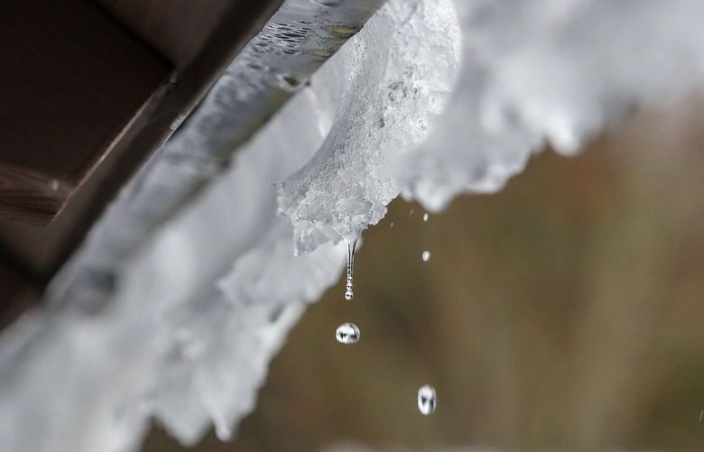 Raising temperatures are causing a roofs to shed it’s snow in Shoreline Wednesday afternoon on November 30, 2022.