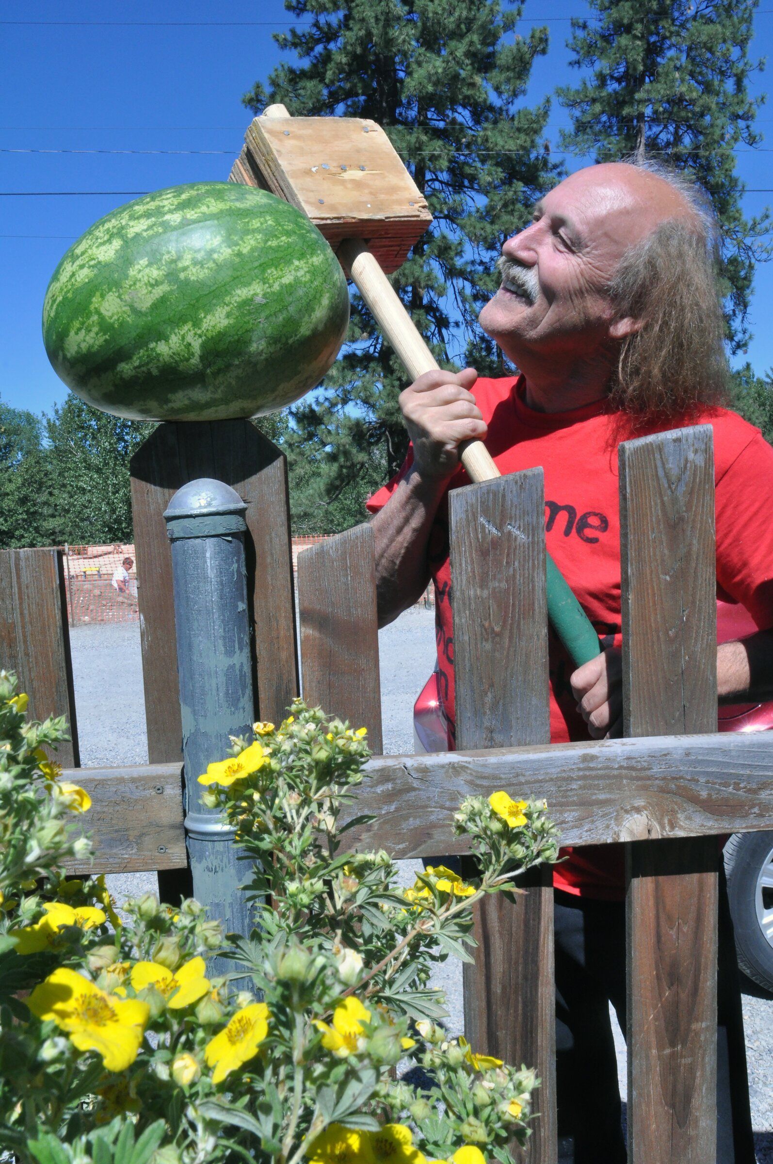 Gallagher watermelon smashing comedian is dead at 76 The