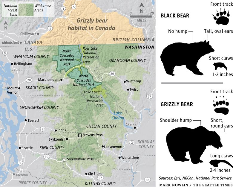 Feds again consider reintroducing grizzlies to North Cascades