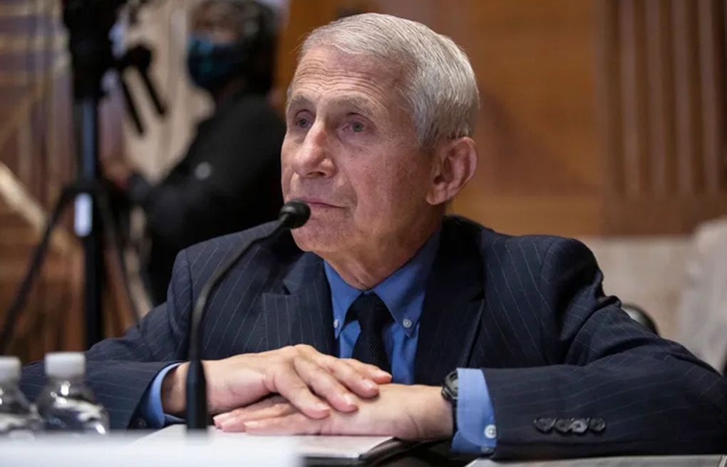 Fauci's diary reveals his thoughts on a ‘rambling' Trump and his own fame