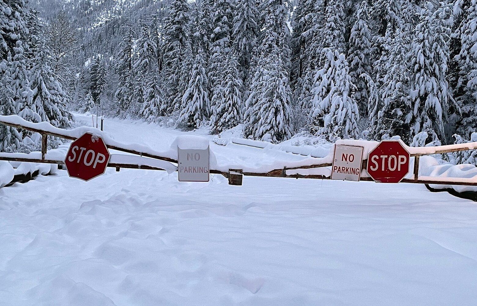 snow Blizzard slams California's Sierra Nevada, stretch of I-80