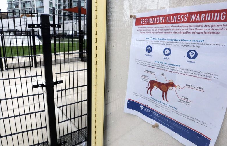 FILE – In this April 16, 2015, file photo, a sign warning of canine respiratory illness is posted at a dog park in Chicago. An outbreak of canine flu has sickened more than 1,000 dogs in the Midwest, killing several and stirring concern among animal lovers nationwide that the highly contagious virus will sideline their pets. (AP Photo/M. Spencer Green, File)