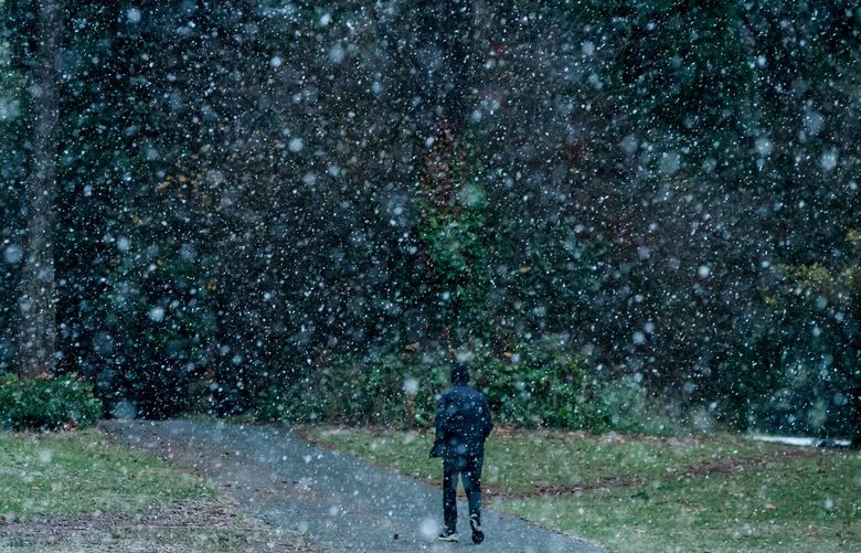 A pedestrians walks through the snow at Lincoln Park in West Seattle Friday morning Dec. 2, 2022.
LO 222370