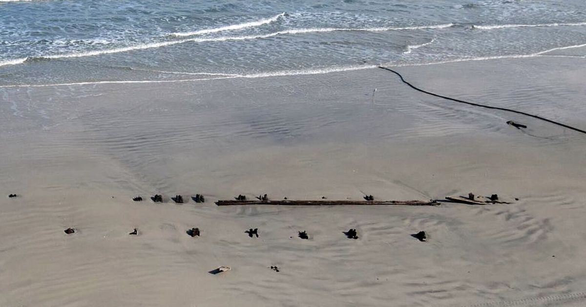 Mysterious Object Emerges on a Florida Beach, Setting Off Speculation | The  Seattle Times