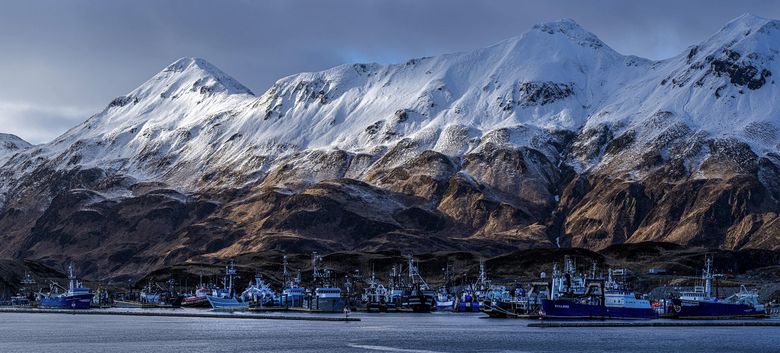 Boats are docked at the Carl E. Moses Boat Harbor on Jan. 13 in Dutch Harbor. The Port of Dutch Harbor is one of the country’s largest fishing ports by volume. (Loren Holmes / Anchorage Daily News) 