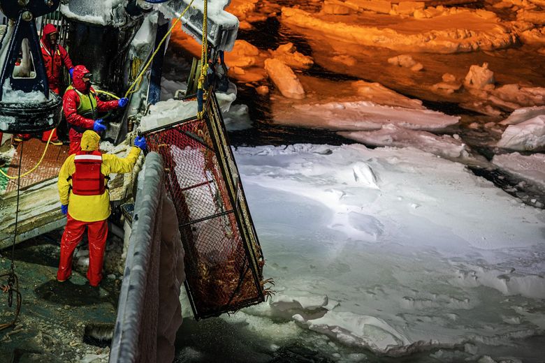 The crew of the Pinnacle pulls up a crab pot from beneath an ice floe on Jan. 21 in the Bering Sea southwest of St. Matthew Island. Sea ice can damage buoys and make it hard to find the crab pots. (Loren Holmes / Anchorage Daily News) 