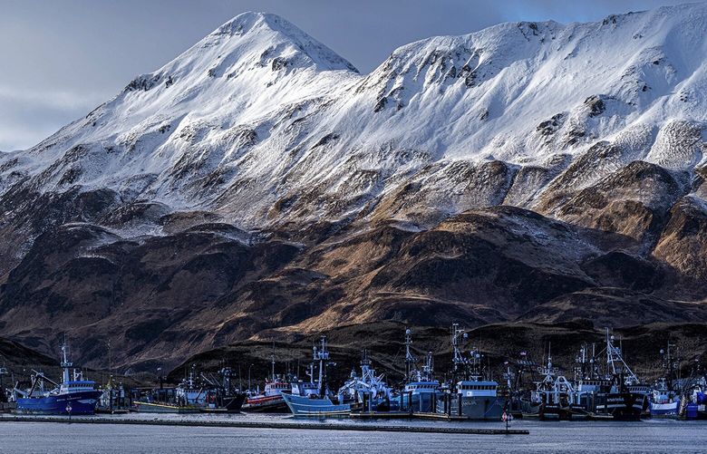 Boats are docked at the Carl E. Moses Boat Harbor on Thursday, Jan. 13, 2022 in Dutch Harbor. The Port of Dutch Harbor is one of the country’s largest fishing ports by volume. (Loren Holmes / Anchorage Daily News)