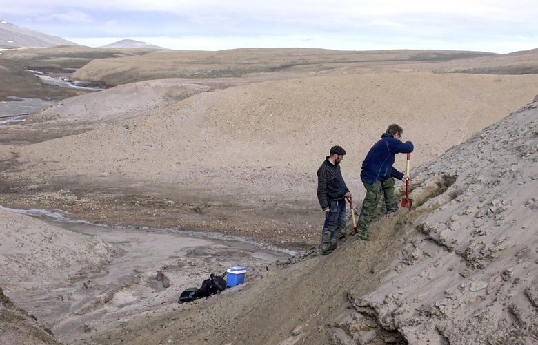 A photo provided by Svend Funder shows Kurt H. Kjaer and Eske Willerslev digging for soil samples at the Kap K¿benhavn Formation in Greenland. In Greenland’s permafrost, scientists have discovered two-million-year-old genetic material from scores of plant and animal species, including mastodons, geese, lemmings and ants. (Svend Funder via The New York Times)   – NO SALES; FOR EDITORIAL USE ONLY WITH NYT STORY SLUGGED GREENLAND ANCIENT DNA BY CARL ZIMMER FOR DEC. 7, 2022. ALL OTHER USE PROHIBITED. – XNYT50 XNYT50