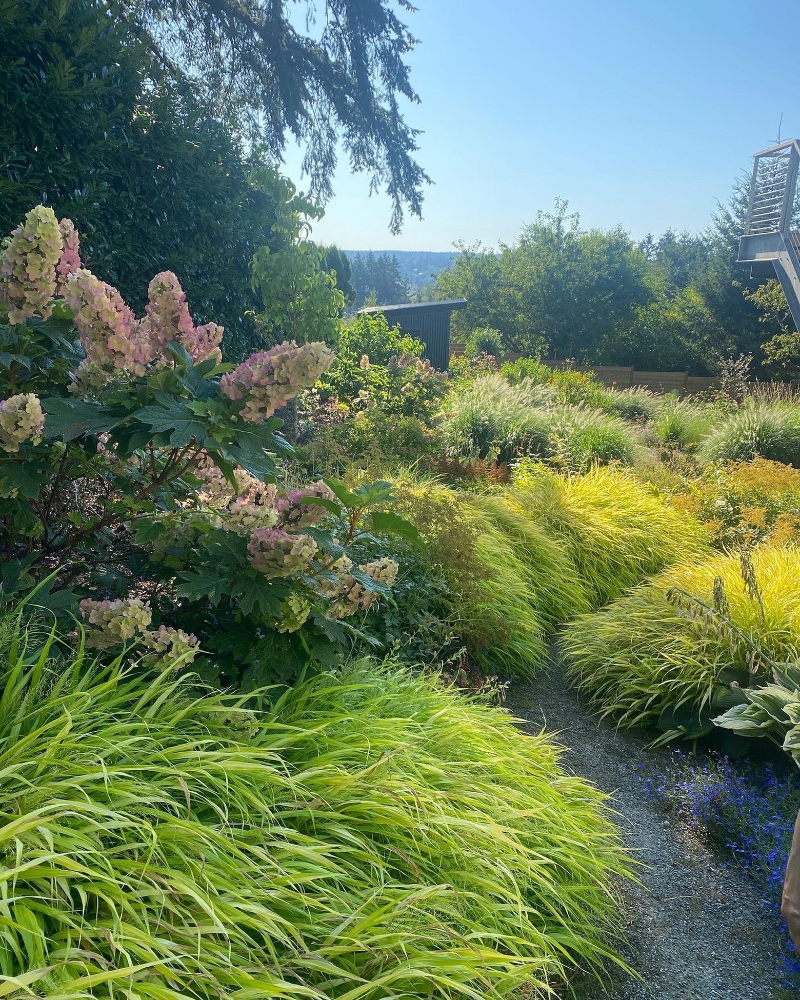 Pro Tips For Planting Your Pnw Garden