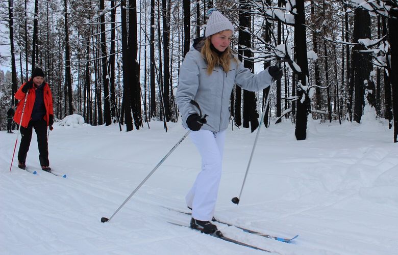 With tree trunks burnt black behind them, cross-country skiers move along a trail in the Methow Valley in December 2021.