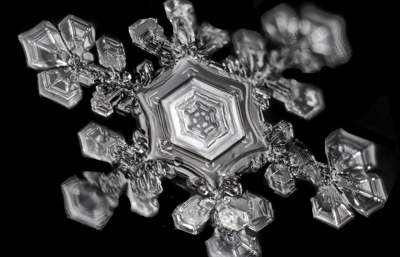 The central plate of this snowflake grew nearly perfectly with temperatures 15 to 25 degrees near the ground. MUST CREDIT: Photo by Jason Persoff.