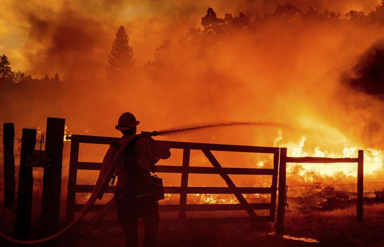 FILE – A firefighter extinguishes flames as the Oak Fire crosses Darrah Rd. in Mariposa County, Calif., on July 22, 2022. (AP Photo/Noah Berger, File) CLI602 CLI602