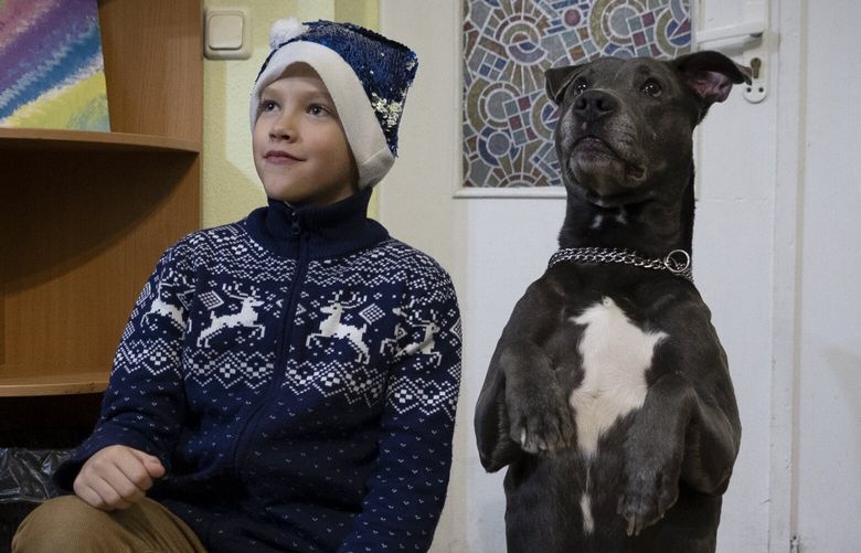A boy poses for photo with an American Pit Bull Terrier “Bice” in the Center for Social and Psychological Rehabilitation in Boyarka close Kyiv, Ukraine, Wednesday, Dec. 7, 2022. Bice is an American pit bull terrier with an important and sensitive job in Ukraine — comforting children traumatized by the war. The Center for Social and Psychological Rehabilitation is a state-operated community center where a group of people are trying to help those who have experienced a trauma after the Feb. 24 Russian invasion, and now they are using dogs like Bice to give comfort. (AP Photo/Vasilisa Stepanenko) XEL103 XEL103