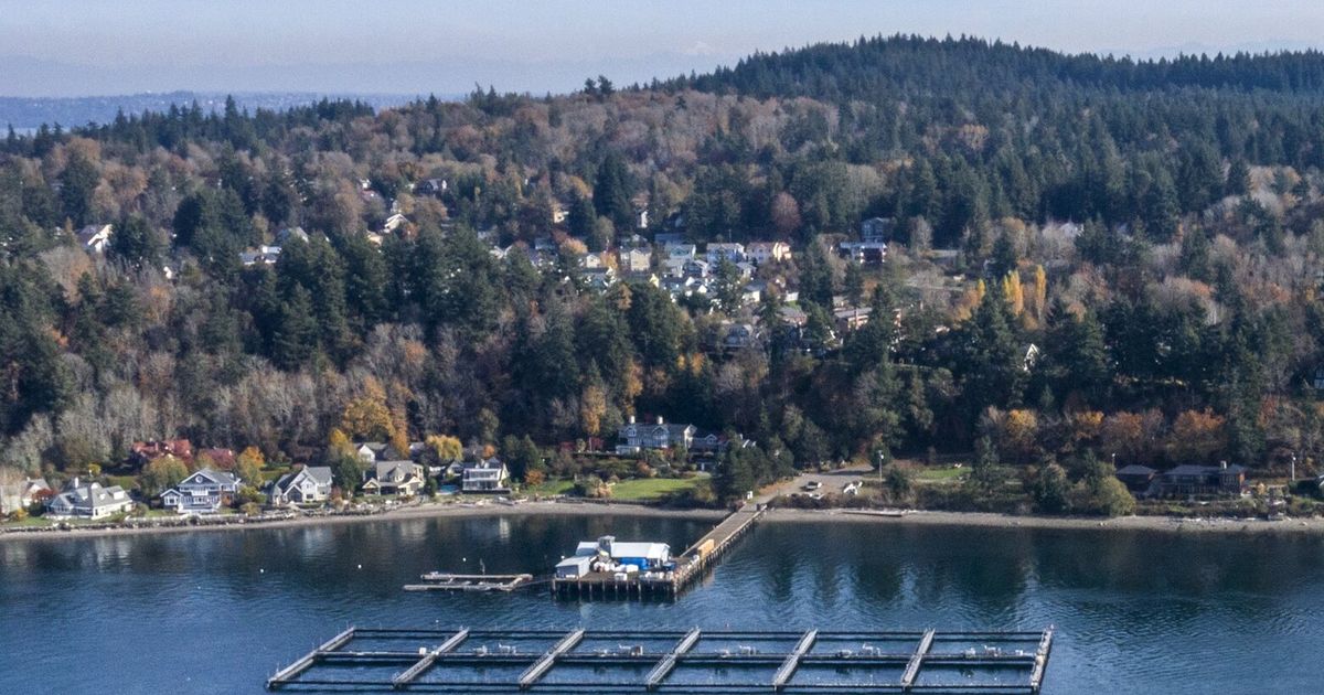 www.seattletimes.com