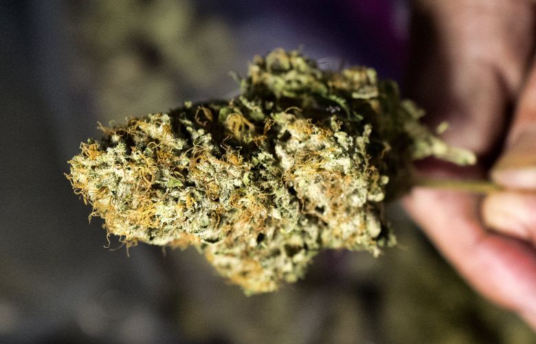 The Complete List Of 24-Hour Marijuana Dispensaries In