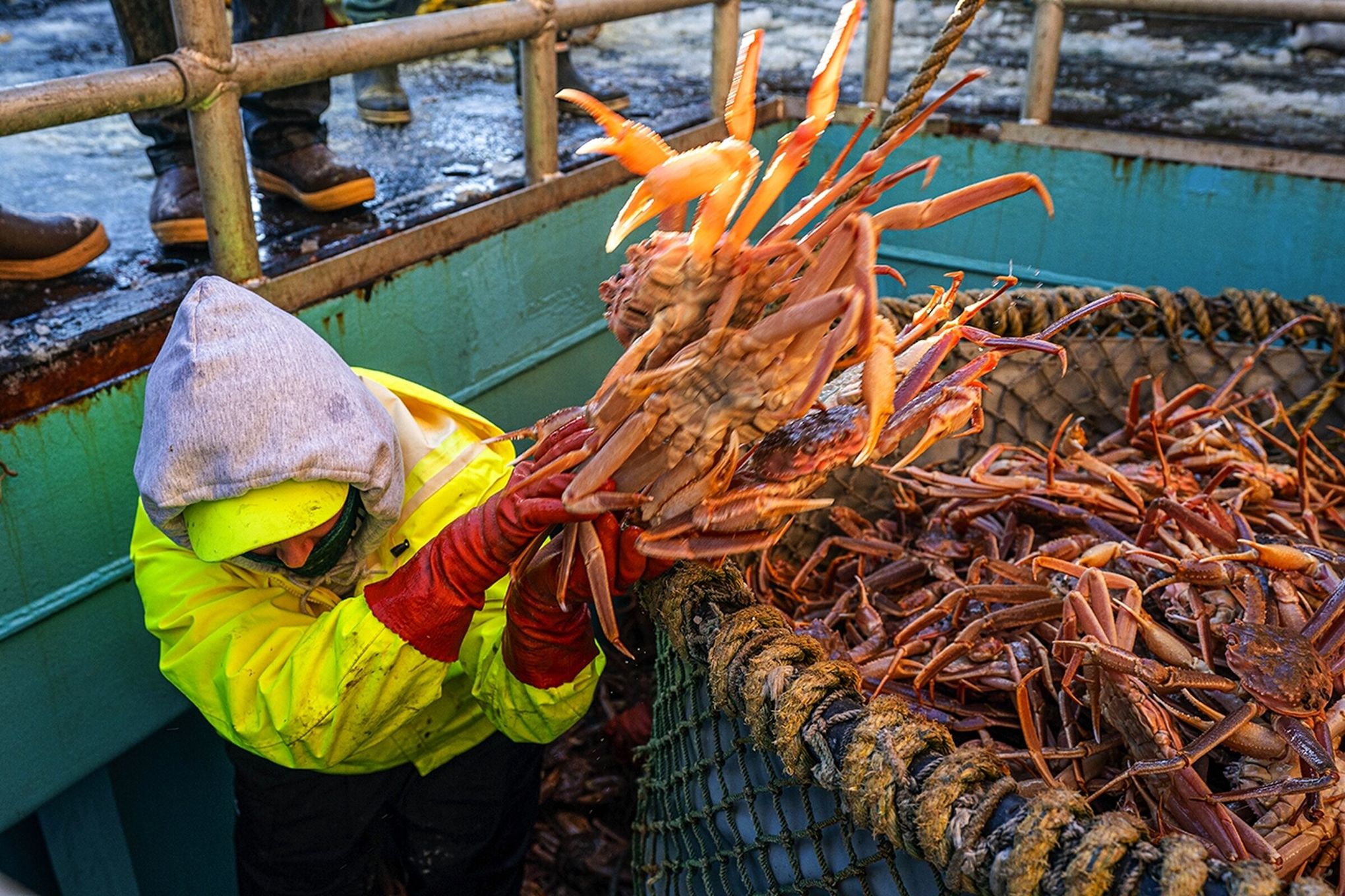 First crab hauls come ashore, but Northern California fishermen