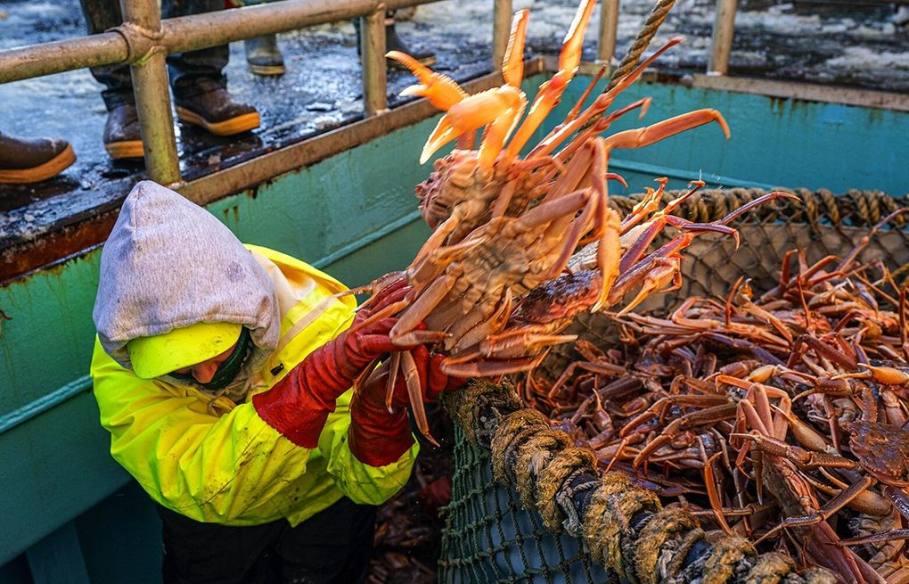 Fisheries disaster declaration sought in Bering Sea crab fishery