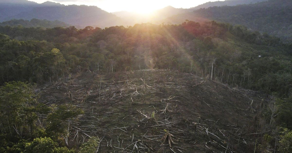 Tribe in Peru demands oil money paying for carbon credits on ancestral ...