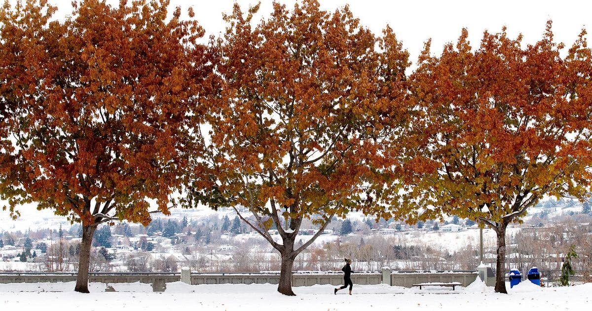 A WA metro topped nation’s list for rising costs — and it wasn’t Seattle A WA metro topped nation’s list for rising costs — and it wasn’t Seattle