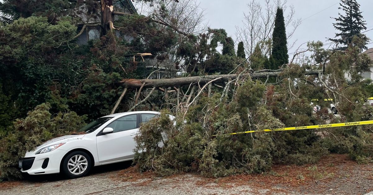 Seattle area hit with power outages from high winds | The Seattle Times