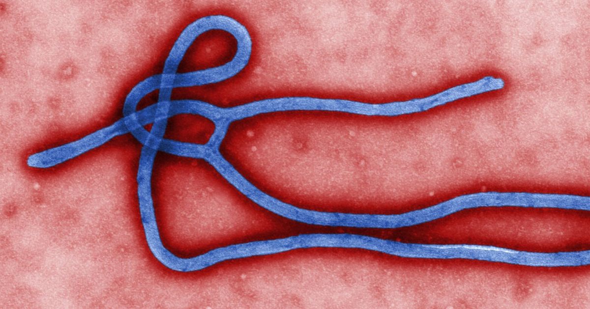 Hospital nurse in Uganda dies in country’s first Ebola outbreak in 2 years