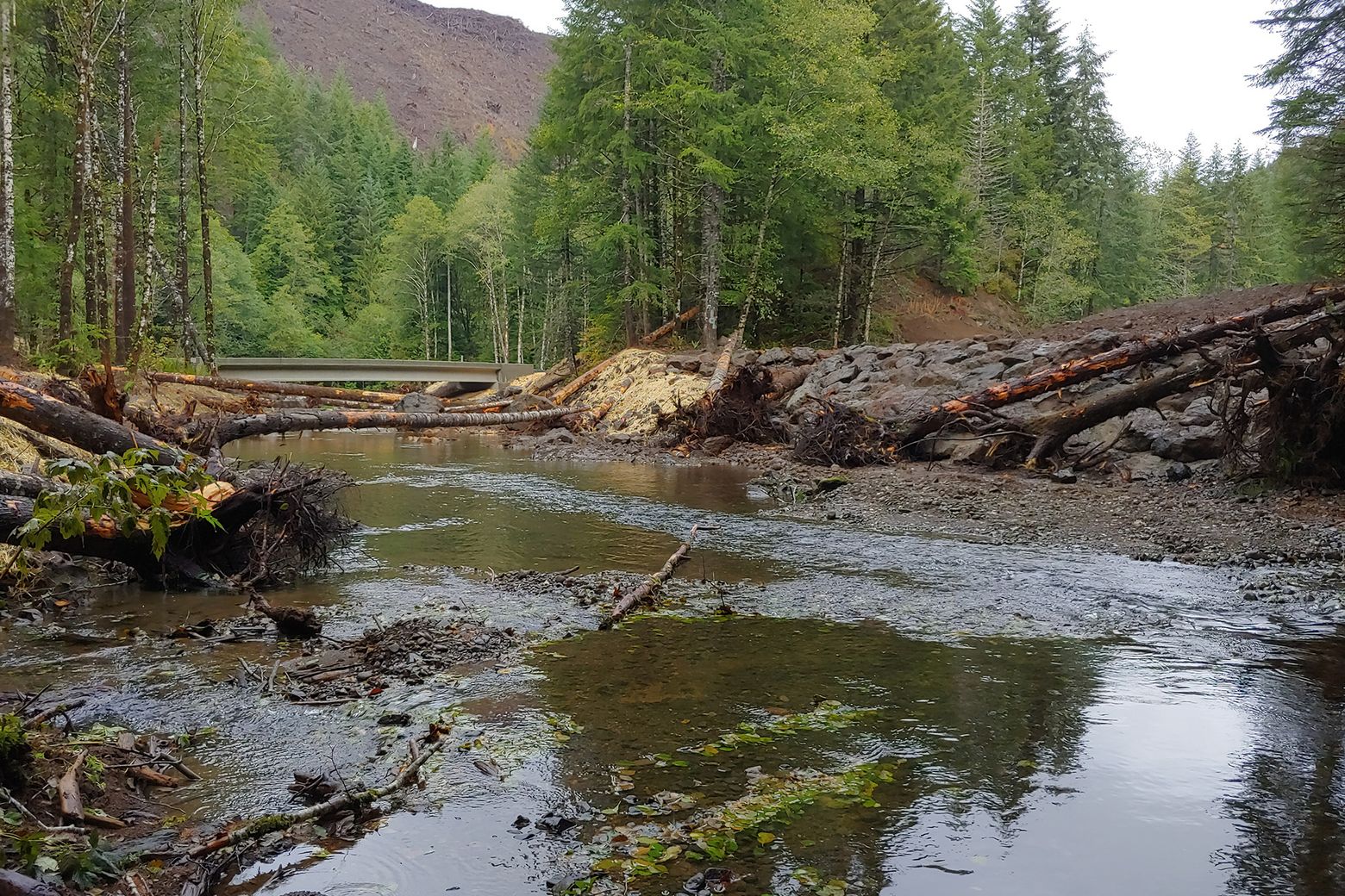 Lab 5: Stream Erosion Streams are extremely powerful