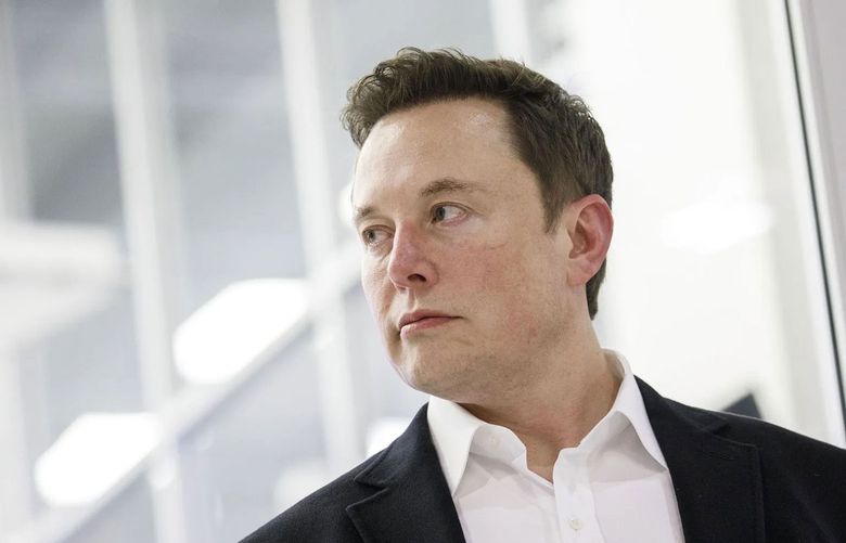 Elon Musk (Patrick T. Fallon / Bloomberg)