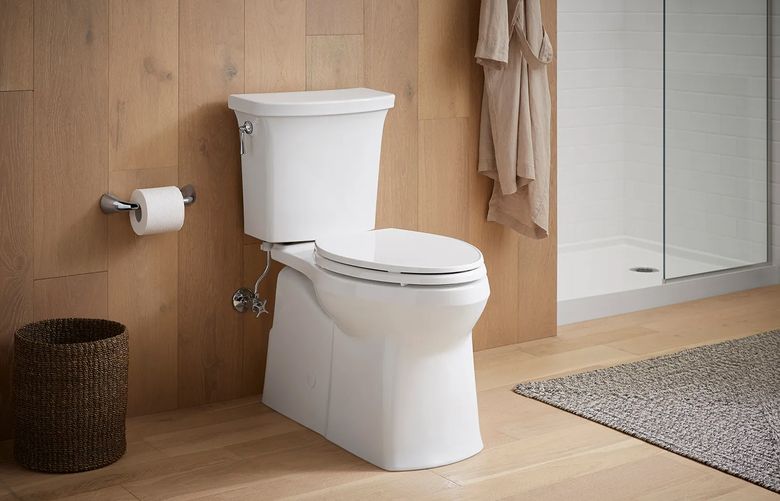 plumber toilet