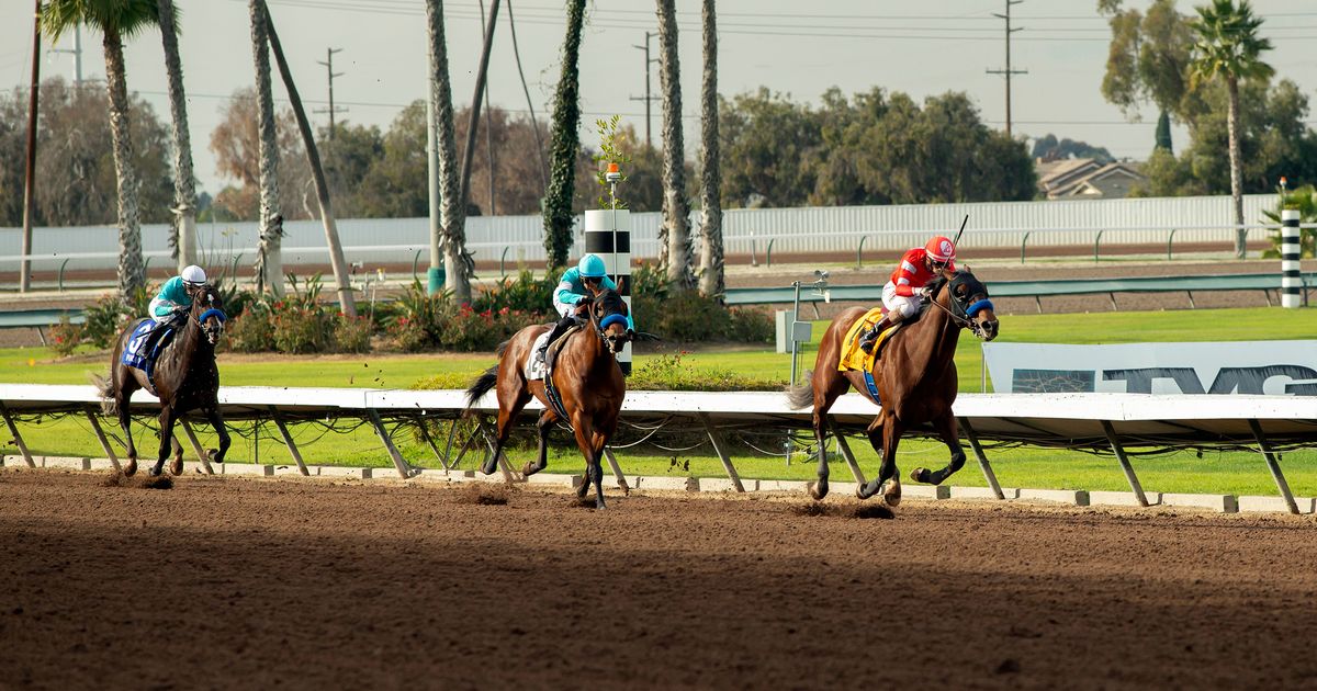 Former assistant beats Baffert in Los Alamitos Futurity The Seattle Times