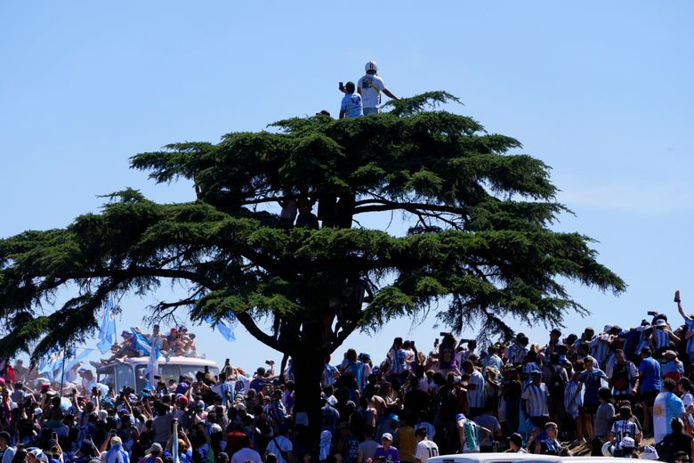 Millions of Argentina fans across the world celebrate World Cup