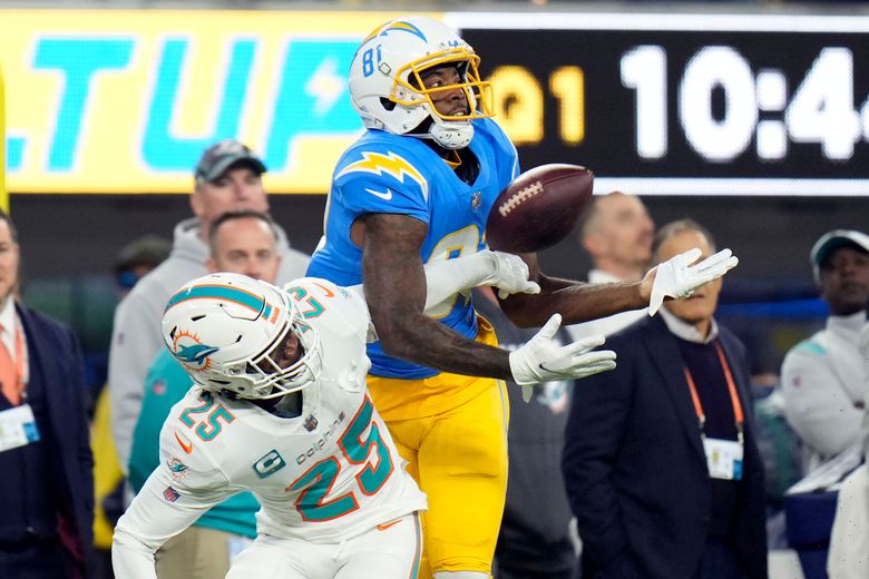 Miami Dolphins' receiver had 15 catches in one game