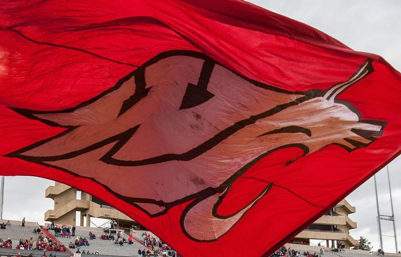 122013 – ALBUQUERQUE, NM – Cougar mascot Butch waves the WSU flag at University Stadium in Albuquerque.
(NewMexicoBowl22)
