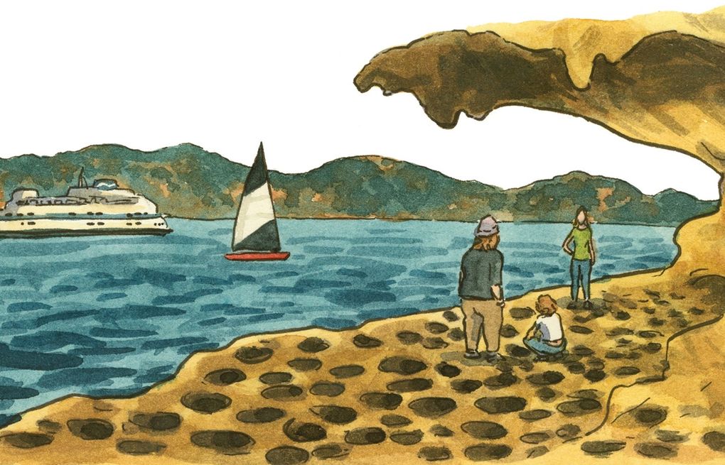 The Golden Age of Sail: An Illustrated Guide to Great Sailing