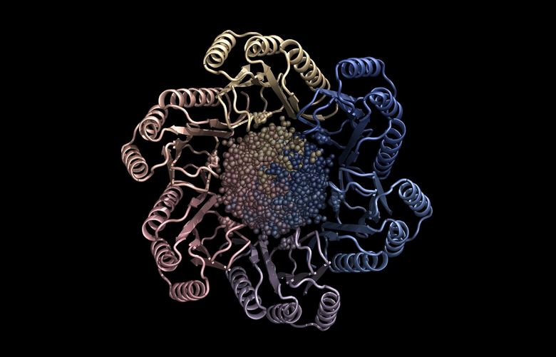 In an undated photo provided by Ian C. Haydon, a model of an artificial intelligence-generated protein. Inspired by digital art generators like DALL-E, biologists are using artificial intelligence to generate blueprints for new proteins to fight diseases such as cancer, flu and COVID. (Ian C. Haydon/University of Washington Institute for Protein Design via The New York Times) — NO SALES; FOR EDITORIAL USE ONLY WITH NYT STORY SLUGGED SCI AI PROTEINS BY CADE METZ FOR JAN. 10, 2023. ALL OTHER USE PROHIBITED. —