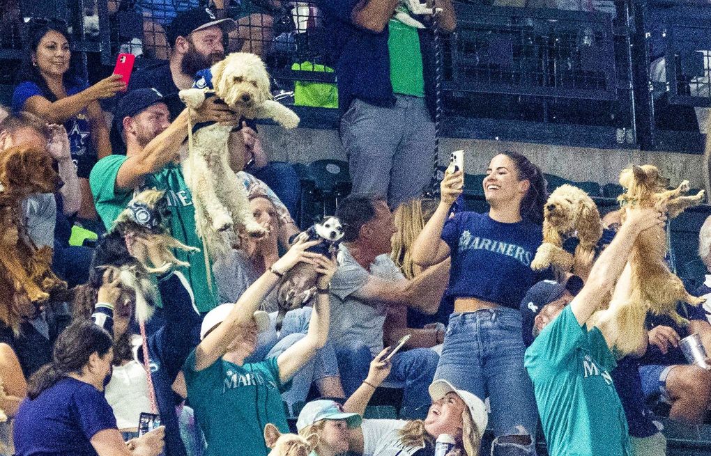 2022 Seattle Mariners Bark At The Park