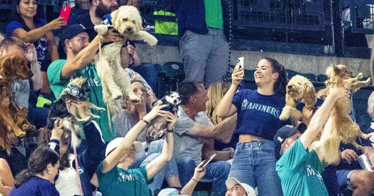 Bark at the Park  Seattle Mariners