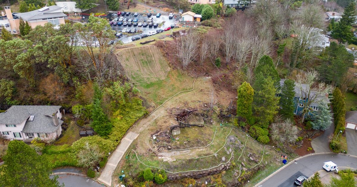 Bellevue sues school in connection with landslide that destroyed home