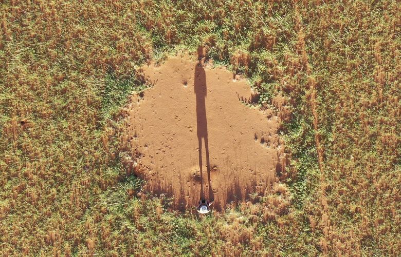 Mysterious “fairy circles,” or patches of bare soil on arid grassland, have puzzled scientists for decades. MUST CREDIT: Courtesy of Stephan Getzin