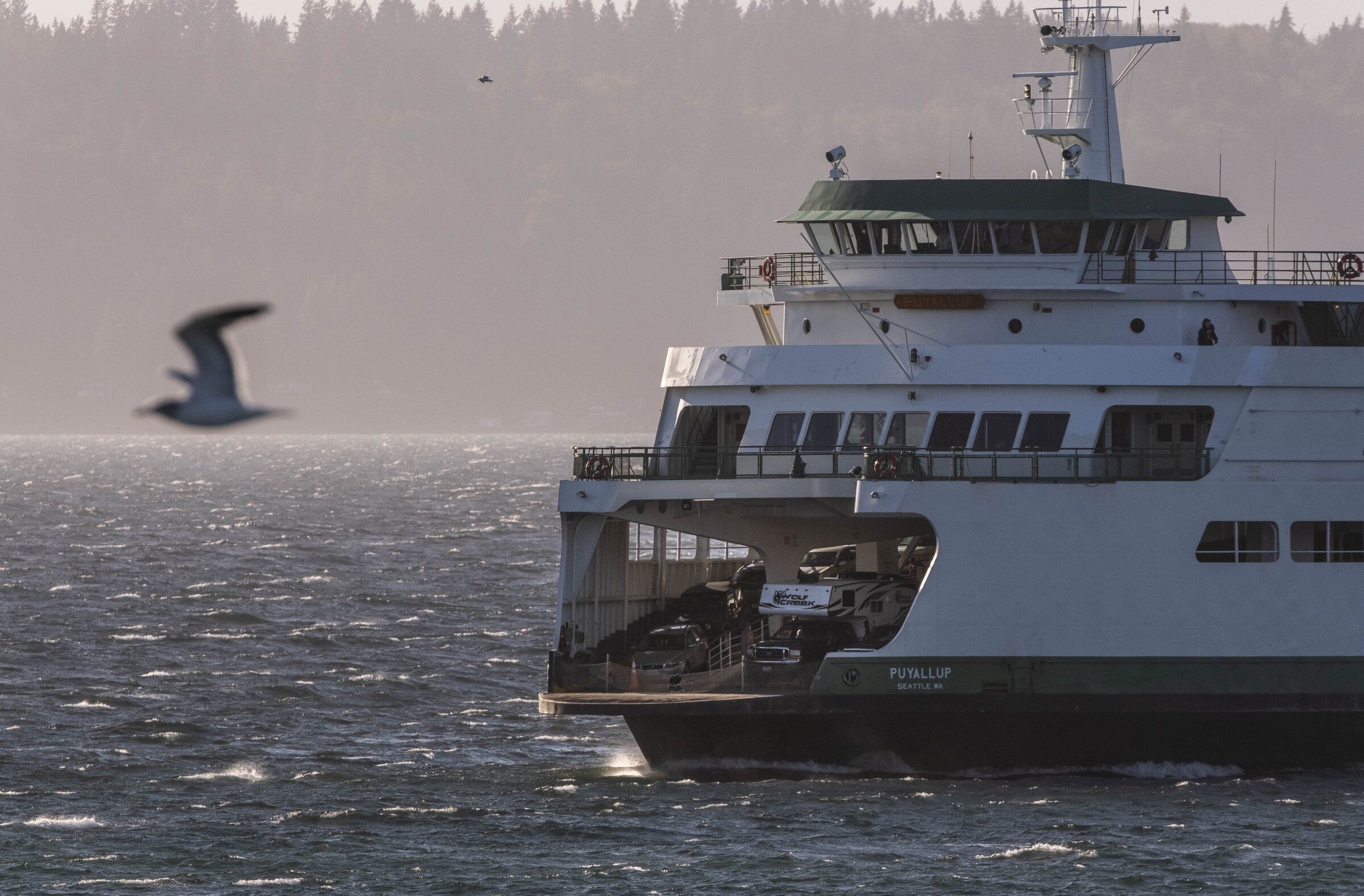 Ferry on Edmonds-Kingston route disabled after apparent log strike